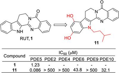 Promising derivatives of rutaecarpine with diverse pharmacological activities